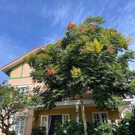 فندق Bich Dao Boutique - Dalat المظهر الخارجي الصورة