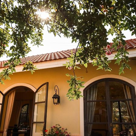 فندق Bich Dao Boutique - Dalat المظهر الخارجي الصورة