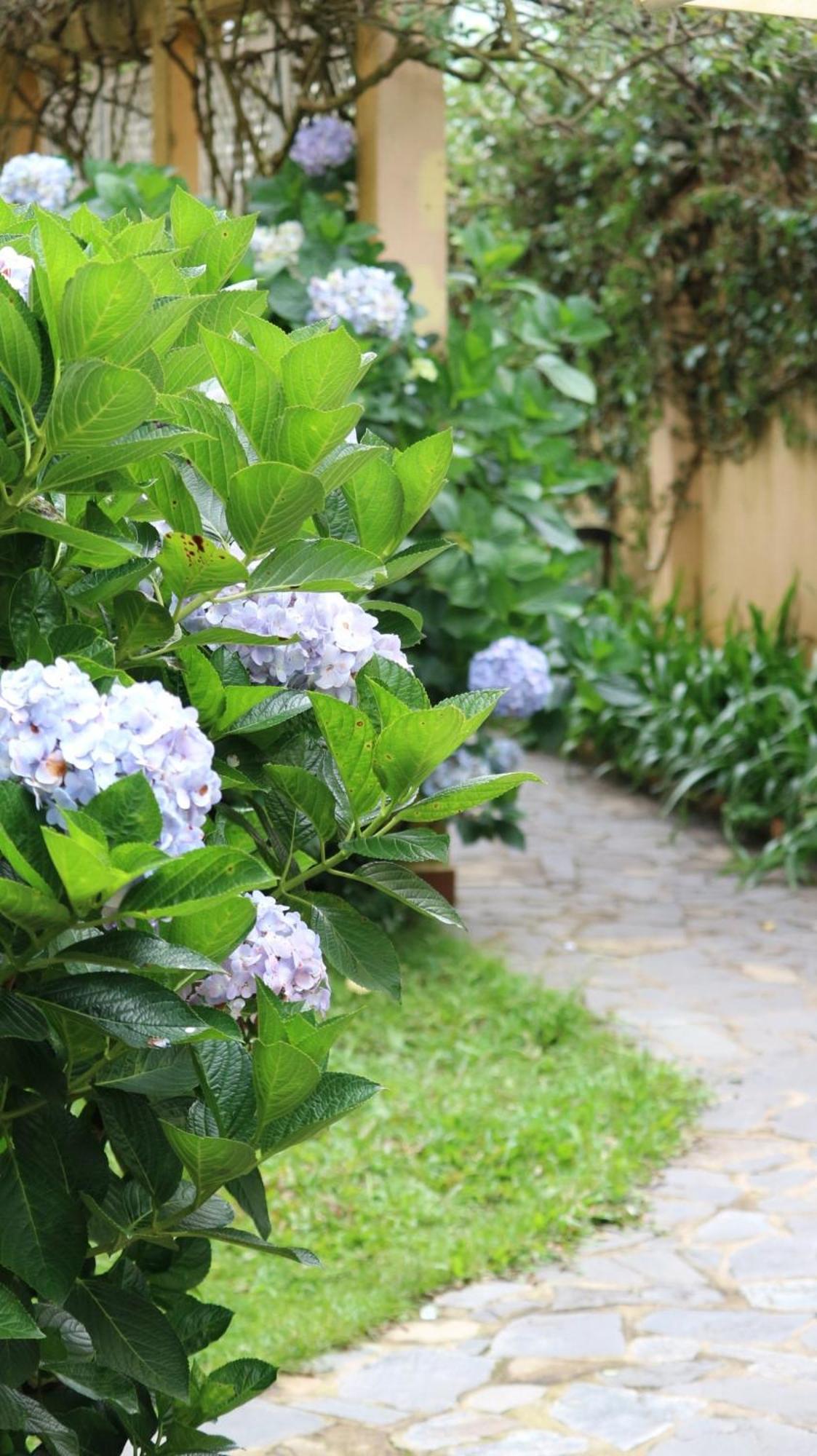 فندق Bich Dao Boutique - Dalat المظهر الخارجي الصورة