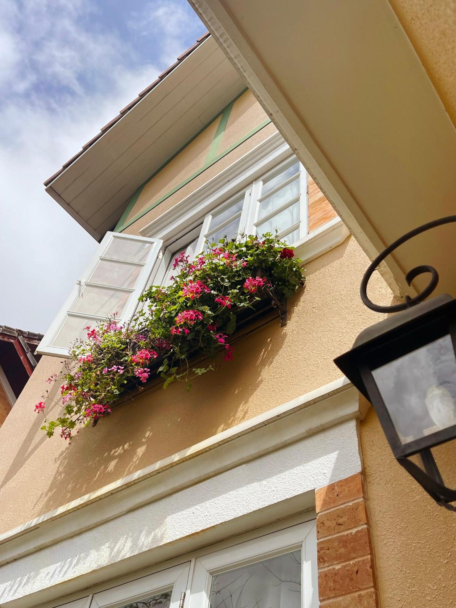 فندق Bich Dao Boutique - Dalat المظهر الخارجي الصورة