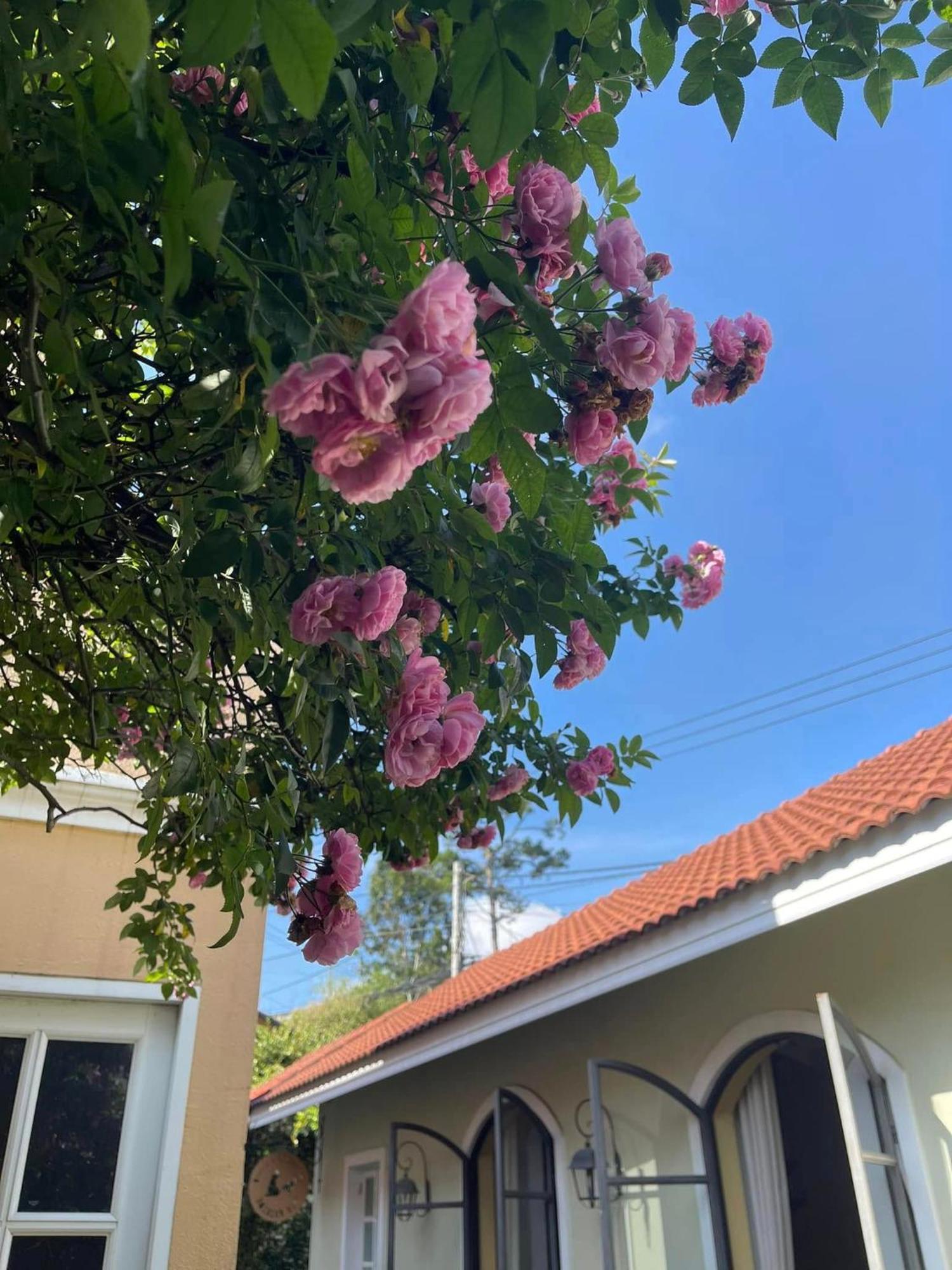 فندق Bich Dao Boutique - Dalat المظهر الخارجي الصورة