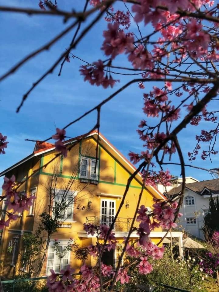 فندق Bich Dao Boutique - Dalat المظهر الخارجي الصورة