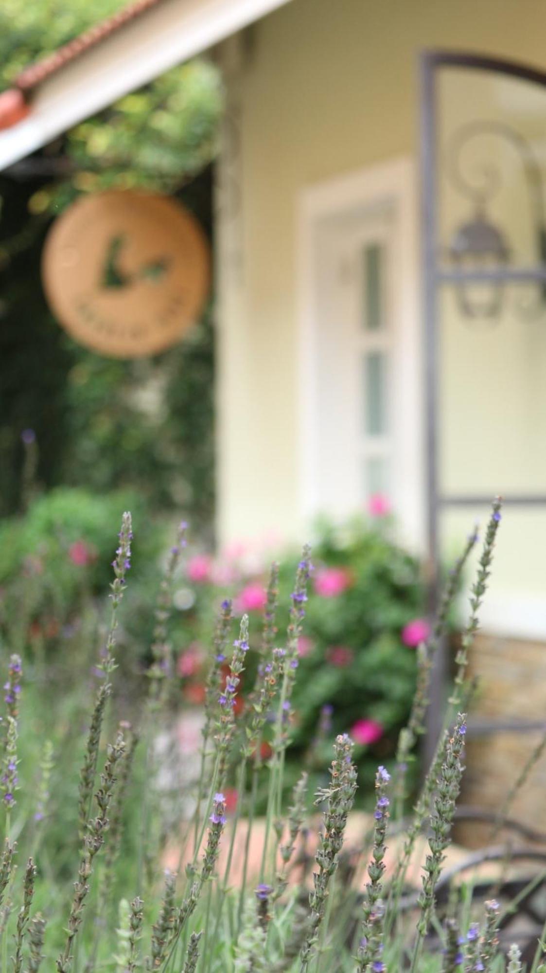 فندق Bich Dao Boutique - Dalat المظهر الخارجي الصورة