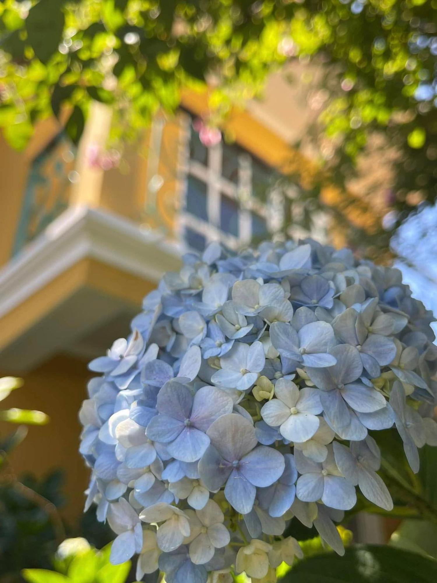 فندق Bich Dao Boutique - Dalat المظهر الخارجي الصورة